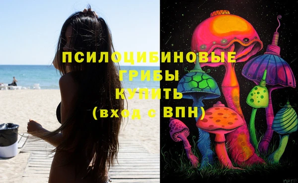 хмурый Кукмор