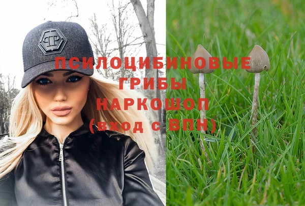 ECSTASY Куйбышев