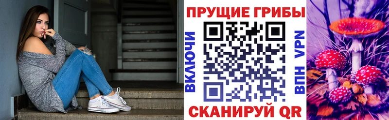 Галлюциногенные грибы GOLDEN TEACHER Мензелинск
